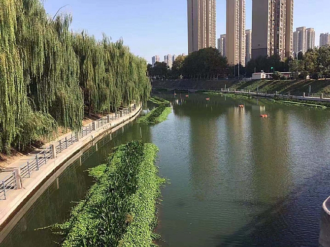 金狮贵宾会宾至如归尊贵显赫(中国)官方网站