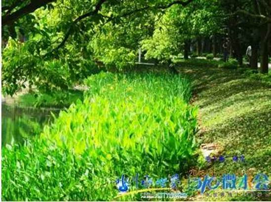 金狮贵宾会宾至如归尊贵显赫(中国)官方网站