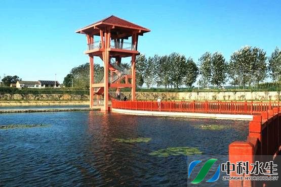金狮贵宾会宾至如归尊贵显赫(中国)官方网站