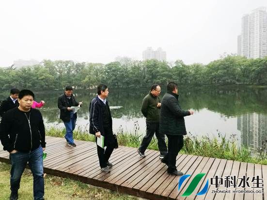 金狮贵宾会宾至如归尊贵显赫(中国)官方网站