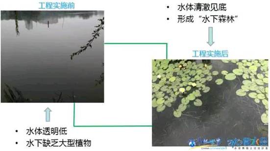 金狮贵宾会宾至如归尊贵显赫(中国)官方网站
