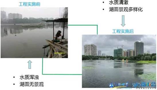 金狮贵宾会宾至如归尊贵显赫(中国)官方网站