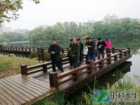 金狮贵宾会宾至如归尊贵显赫(中国)官方网站