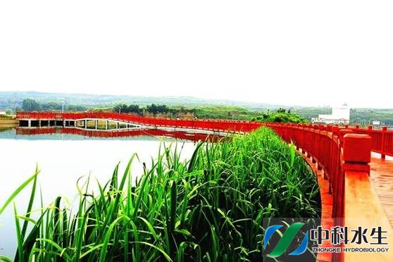 金狮贵宾会宾至如归尊贵显赫(中国)官方网站