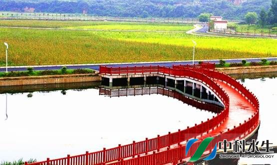 金狮贵宾会宾至如归尊贵显赫(中国)官方网站