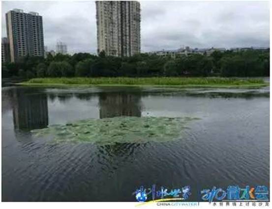 金狮贵宾会宾至如归尊贵显赫(中国)官方网站