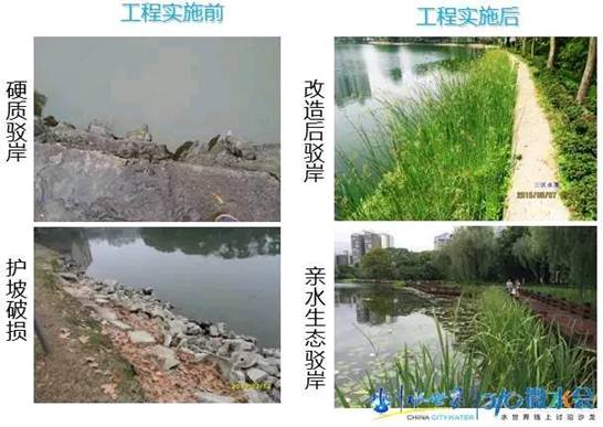 金狮贵宾会宾至如归尊贵显赫(中国)官方网站