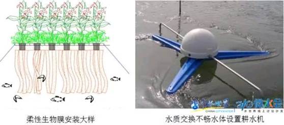 金狮贵宾会宾至如归尊贵显赫(中国)官方网站